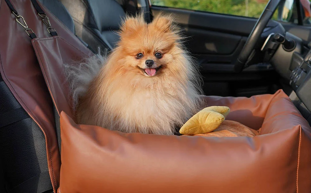 Cavalier King Charles Spaniels Dog Car Seat for Ford Escape