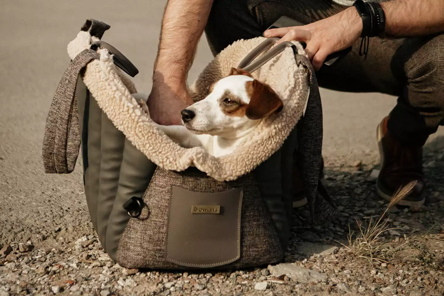 Fox Terrier Dog Carrier Car Seat for Toyota Prius