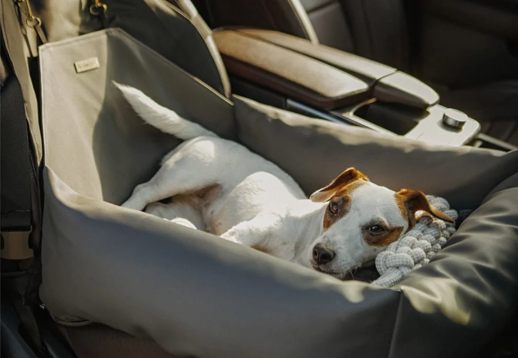 Toyota Tundra Dog Car Seat for Miniature American Shepherds