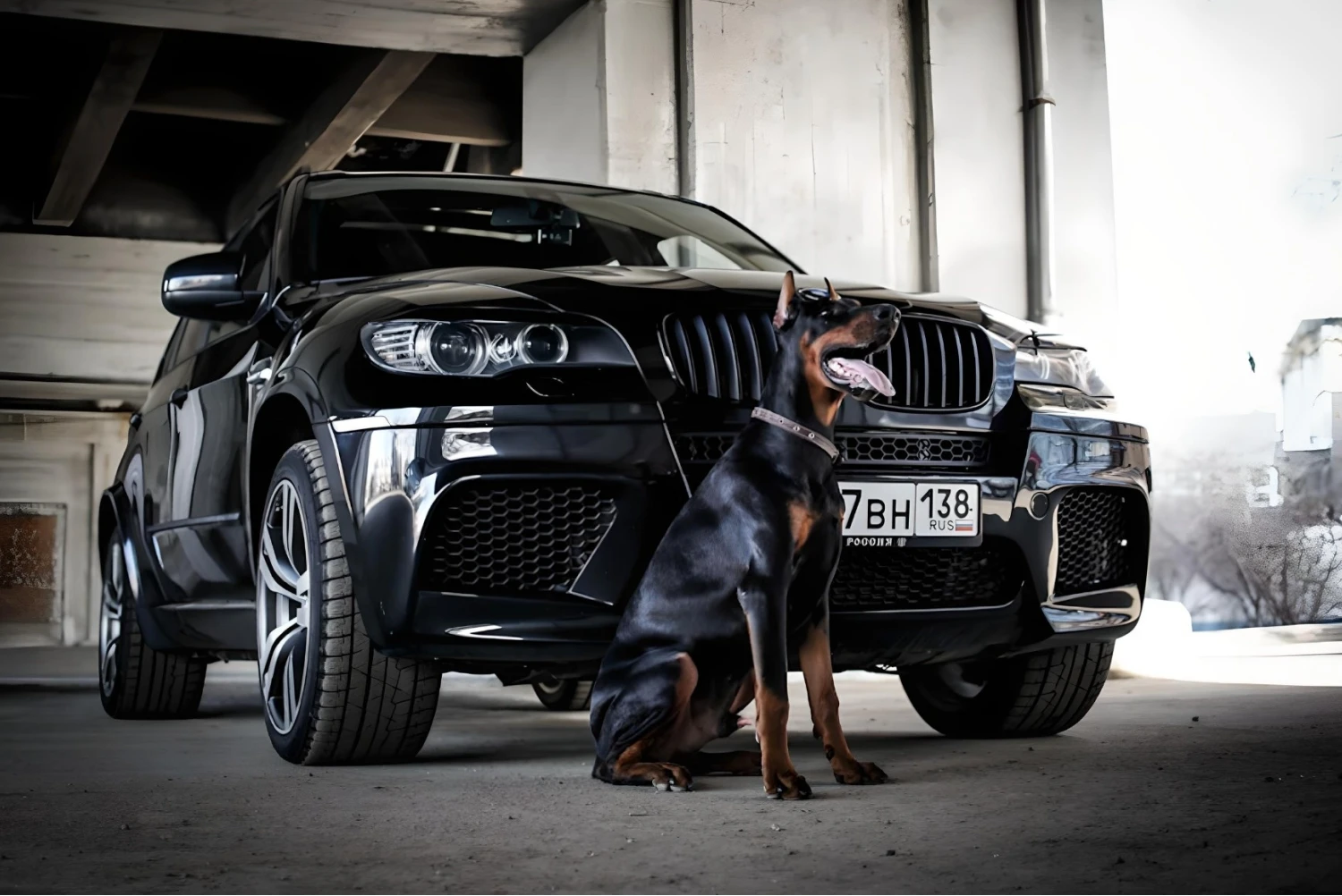 trash containers for BMW X5