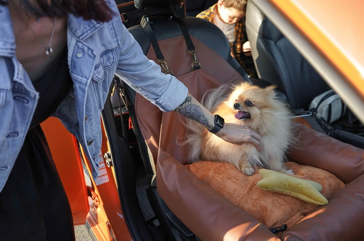 Bolognese Dog Car Seat for Honda CR-V