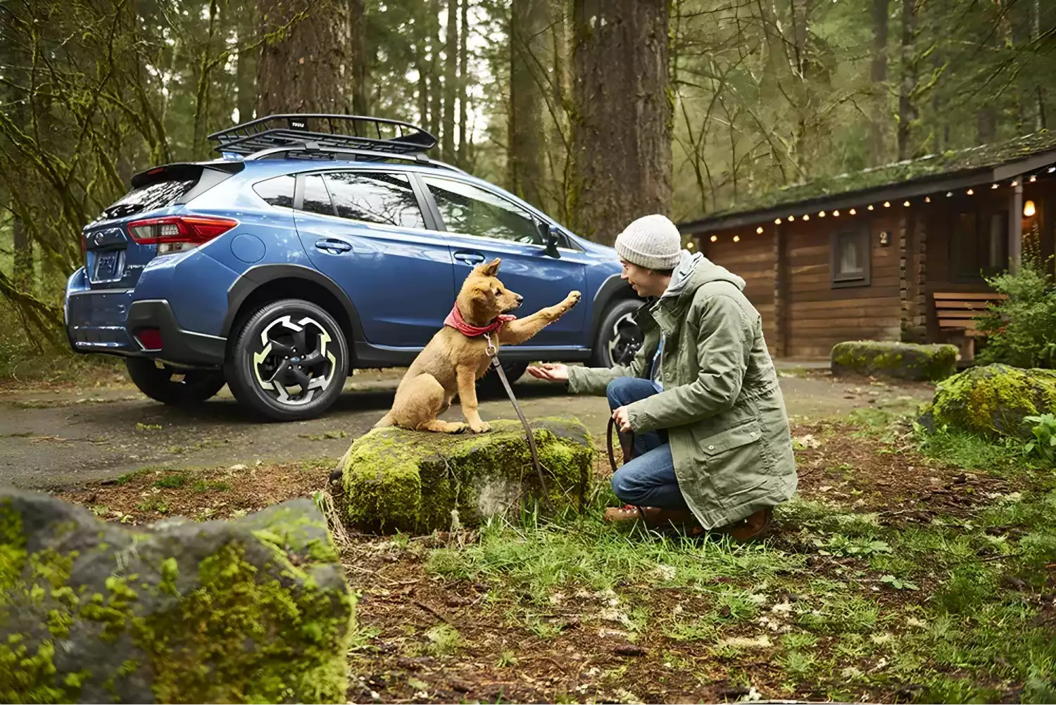 Subaru Outback organization ideas