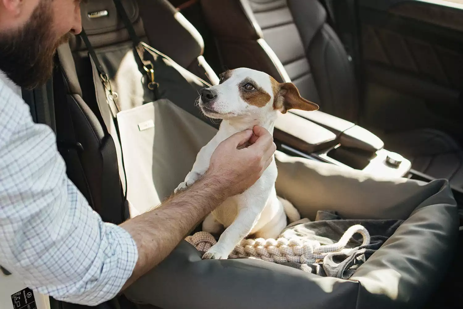 Ram Truck Dog Car Seat for Toy Poodles